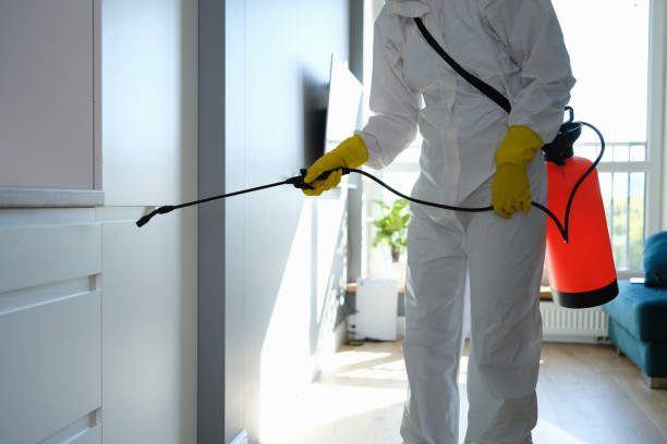 Best Pest Prevention Services  in Ridgecrest, CA